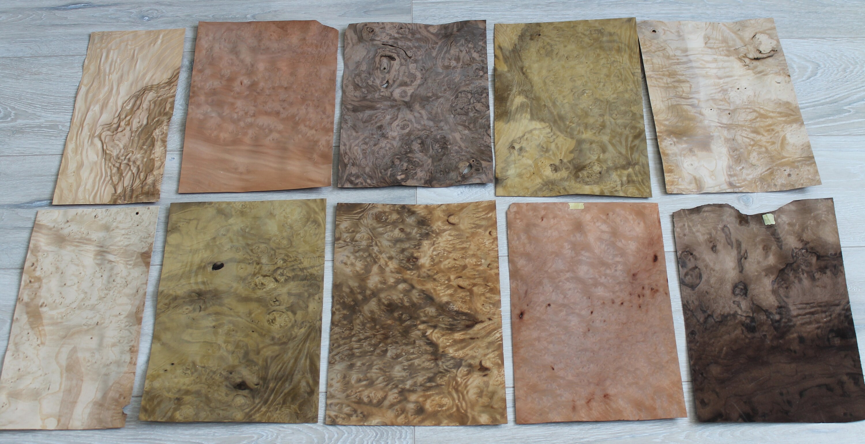 Burl wood veneer sheets burl veneer mix veneer pack 10 Etsy