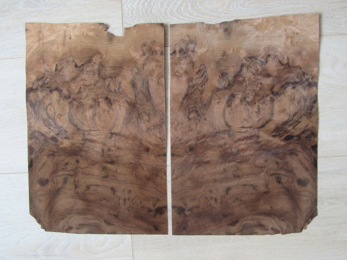 Walnut burl wood veneer 2 sheets 12.2 x 9.44 31 x | Etsy