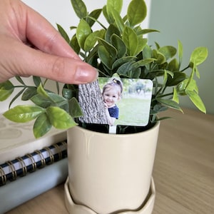 May include: A small potted plant with vibrant green leaves and a cream-colored ceramic pot. A small rectangular tag with a photo of a smiling child is placed in the plant. The pot sits on a matching saucer.