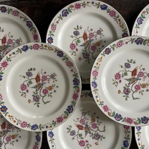 Set of Ten (10) Bird of Paradise Limoges France 9 5/8” Plates Vintage