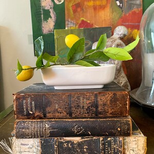 May include: A stack of three antique books with leather covers. The top book has the title "Nordlandsbad Pertegene" and the bottom book has the title "Les Cathedrales de France". A white ceramic dish with a lemon branch and two lemons sits on top of the books.