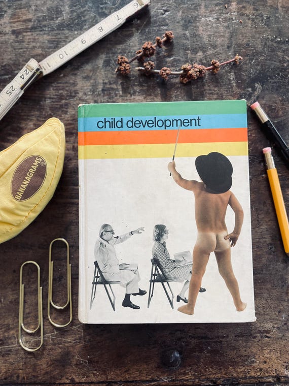 1975 Child Development Vintage Textbook