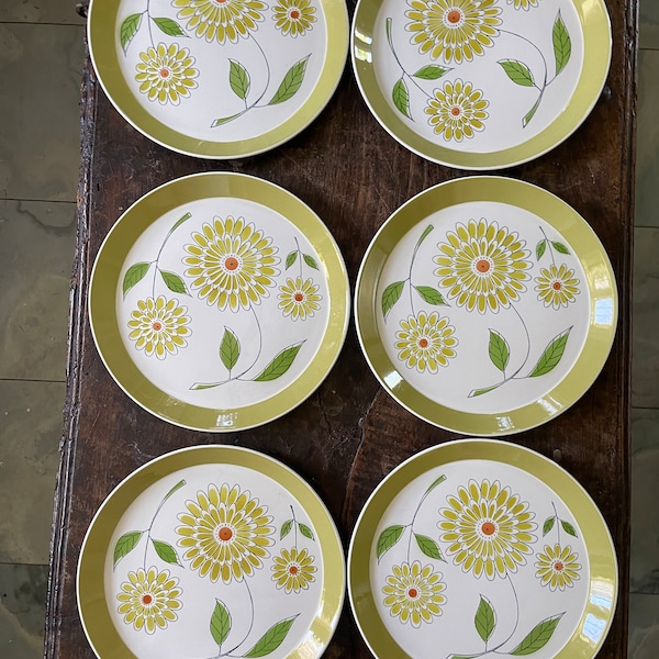 Set of Six (6) Avocado Green 1960s Mikasa Floral 10.75” Plates in Duplex Pattern