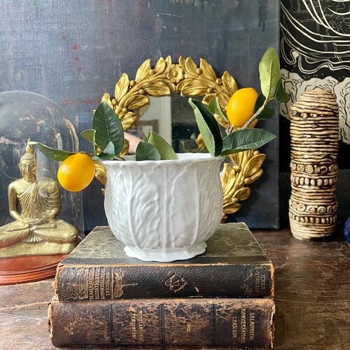 White Bone China Cabbage Leaf 6.25” Coalport Planter English Ironstone Grand Millennial