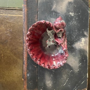 Kleine Muschelschale aus Italien