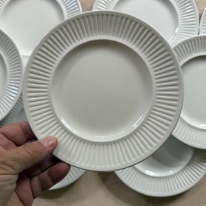 May include: A set of white ceramic plates featuring a ribbed rim design. The plates are circular and have a simple, elegant aesthetic. The plates are suitable for serving meals.