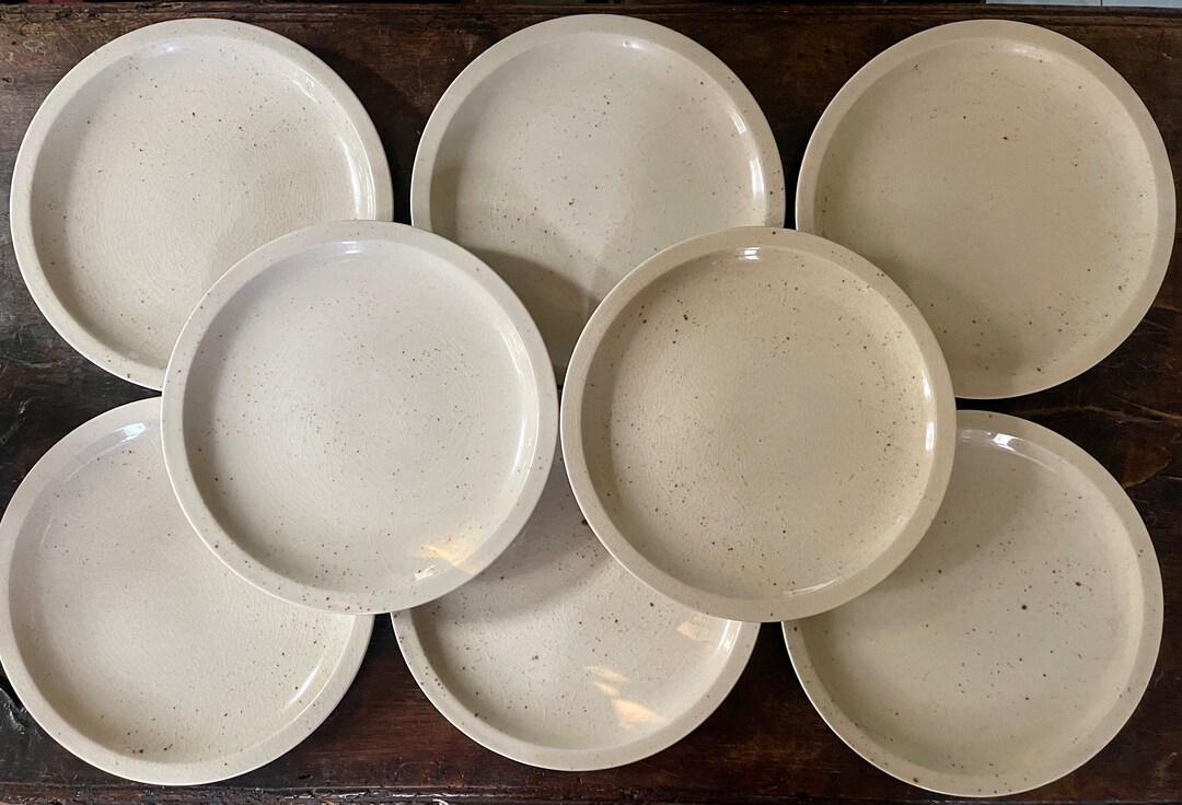 Set of Eight 8 Mikasa Habitat Speckled Dinner Plates Etsy
