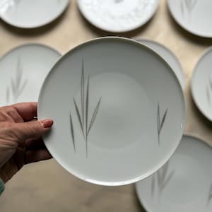May include: A collection of white ceramic plates with a minimalist design. Each plate features a delicate, gray botanical pattern. The plates are round and appear to be of a standard size, suitable for serving meals.