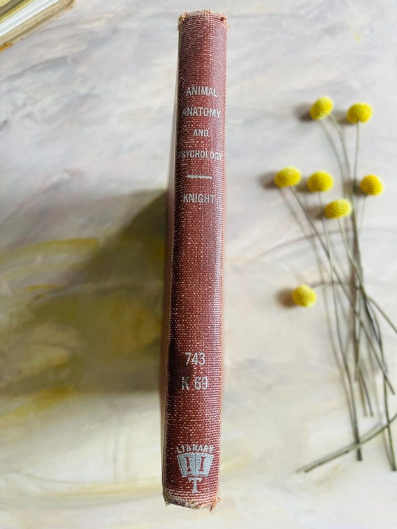 1947 Animal Anatomy and Psychology for the Artist and Layman