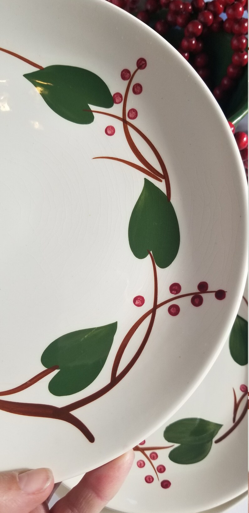 6 9 12 Dinner Plate by Blue Ridge Southern Potteries Holiday Dining Christmas Decor Cottage Farmhouse Neutral 1950 Dinnerware Set of Six