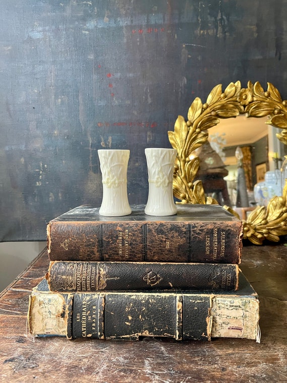 Pair of Vintage Creamy Belleek Fine Bone China Vases