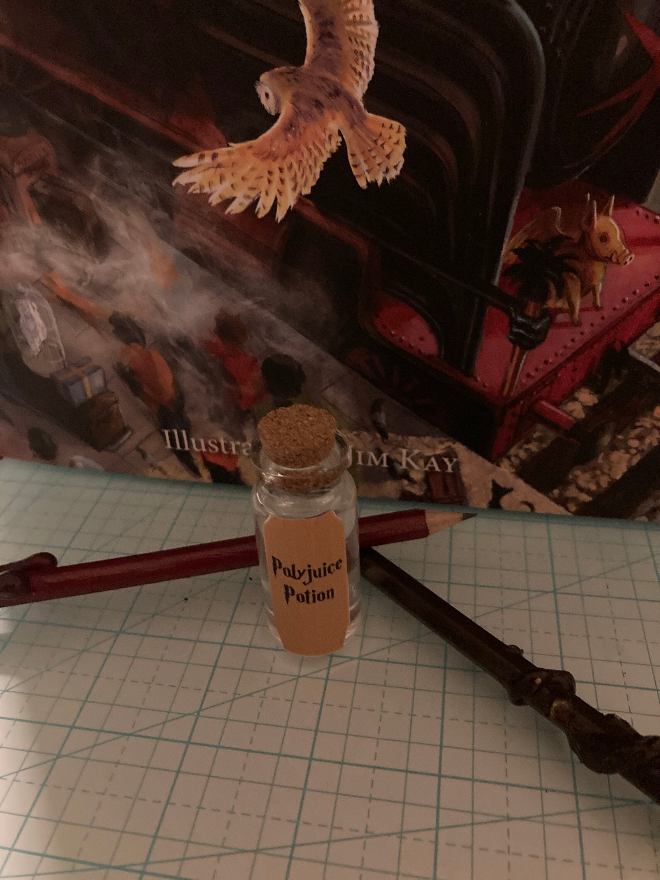 Hand sanitizer Harry Potter Etsy