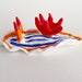 see more listings in the Nudibranchs section