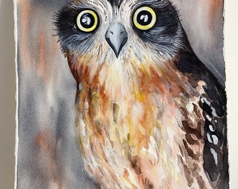 Boobook Owl Original Watercolour Painting