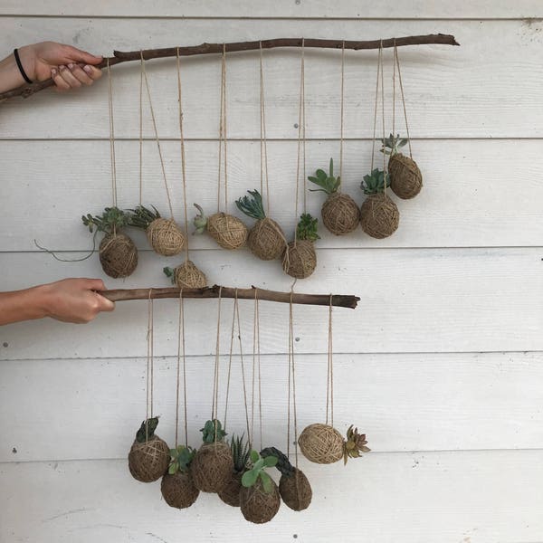 Hanging Kokedamas - Small