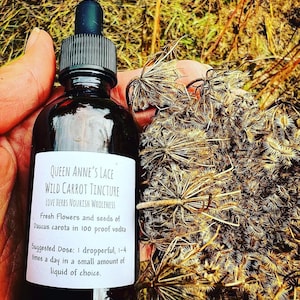 May include: A glass bottle with a dark brown liquid inside. The label reads "Queen Anne's Lace Wild Carrot Tincture Love Herbs Nourish Wholeness Fresh Flowers and seeds of Daucus carota in 100 proof vodka Suggested Dose: 1 dropperful, 1-4 times a day in a small amount of liquid of choice."