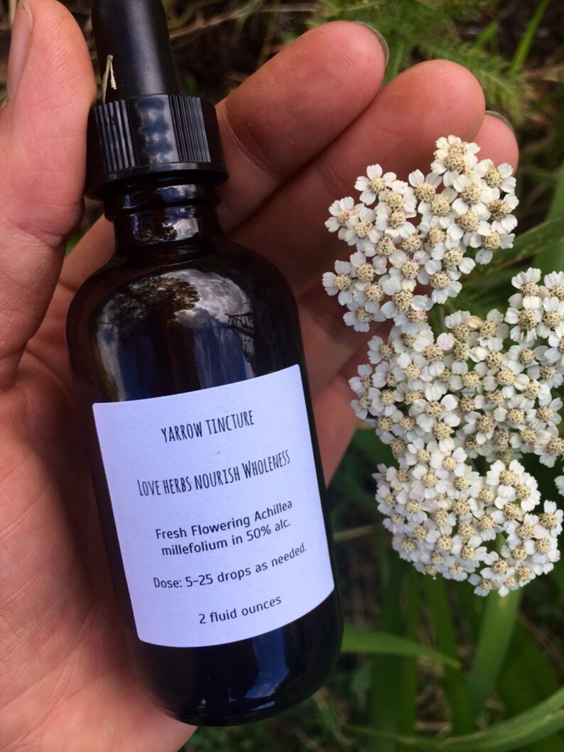 Yarrow Tincture 2 OZ Wildcrafted Etsy