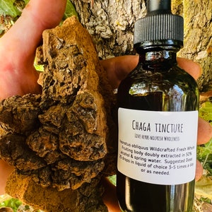 Chaga Tincture