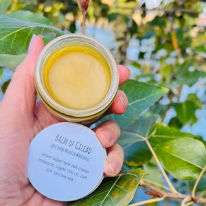 2 OZ Balm of Gilead