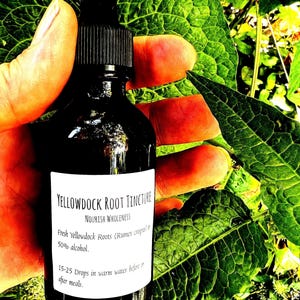 2 OZ Yellowdock Root Tincture