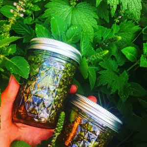 May include: Two glass jars filled with green pesto, held in a person's hands, surrounded by lush green foliage. The jars have silver lids and a diamond pattern on the glass. The pesto appears to be a vibrant green color.