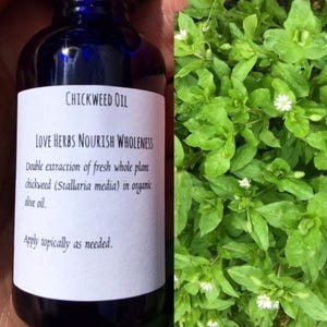 Chickweed EVO Organic Olive Oil