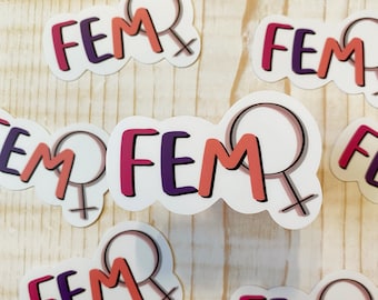 Fem STICKER, Feminine sticker design, friend gift, vinyl sticker designs, water bottle stickers