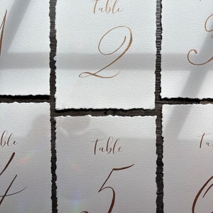 Deckled edge paper table numbers for wedding frames, hand torn deckled edge table numbers, calligraphy table numbers on textured paper image 6