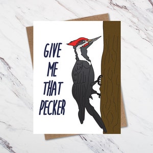 Carte Wood Pecker, carte drôle d'oiseau
