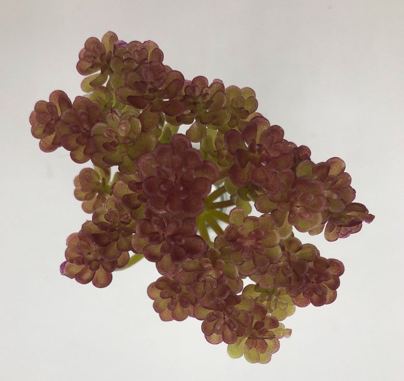 Artificial Large Purple Sedum Succulent