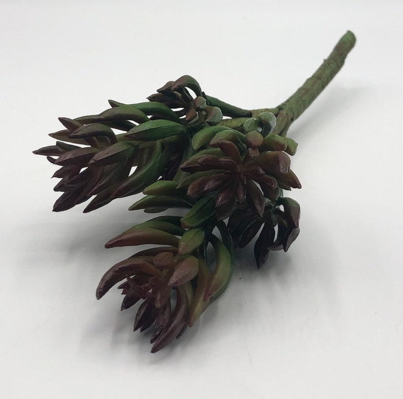 Artificial Green and Brown Succulent