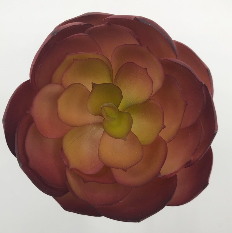 Artificial Rust Echeveria Succulent