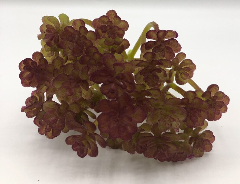 Artificial Large Purple Sedum Succulent