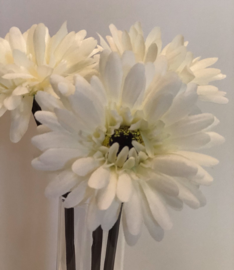 Three 9 White Gerbera Daisies