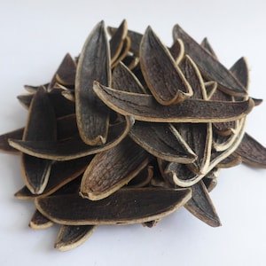 May include: A pile of dried, dark brown and light brown, flat, oval-shaped, plant parts.