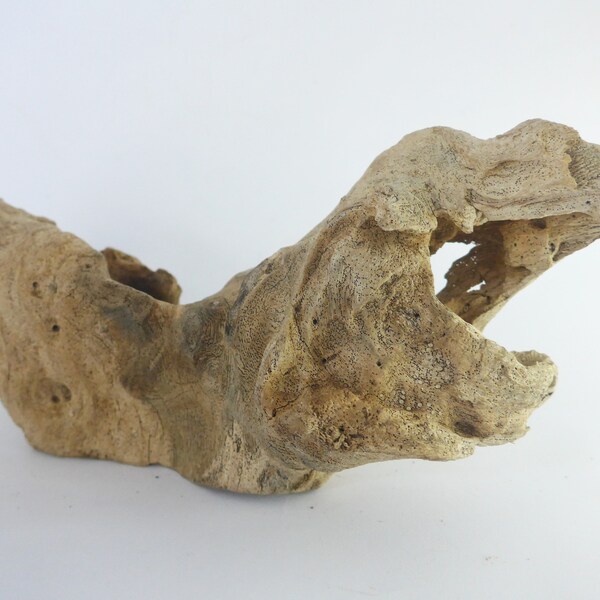 Large Flat Driftwood Etsy