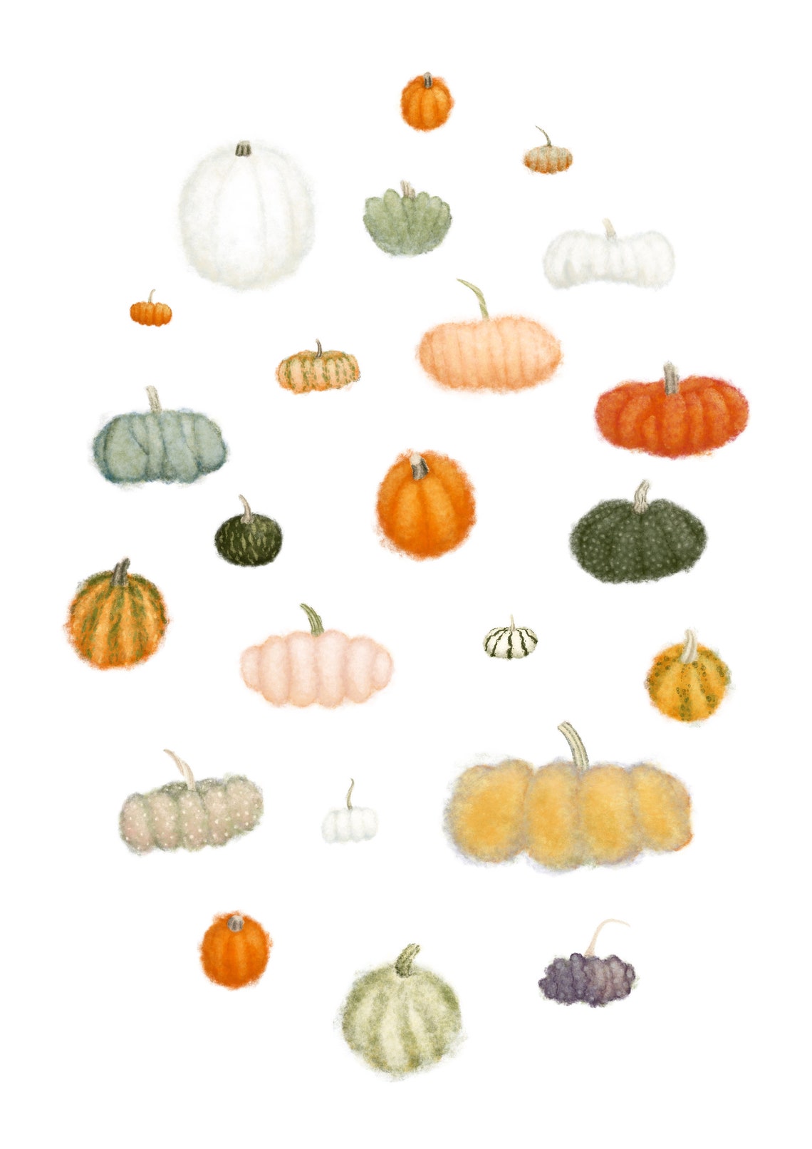 Pumpkins / Squashes / Gourds Illustration Autumn / Halloween Etsy