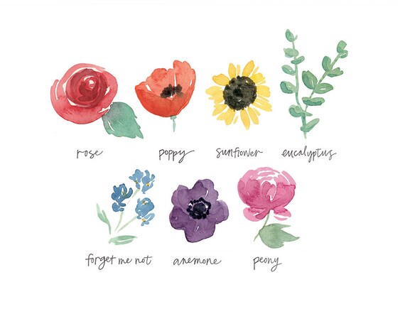 Flowers By Color Chart