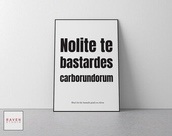 Print The Handmaid's Tale, feministische muurkunst, Carborundorom (digitale download)