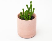 Pink Concrete Plant Pot Baby plants pot Concrete Planter Minimalist Planter Succulent Planter Cactus Planter Mini Plants Baby