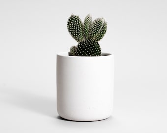 White Concrete plant pot | Medio | baby plant pot | modern concrete | housewarming gift | succulent pot | plant lover | jewelry holder |