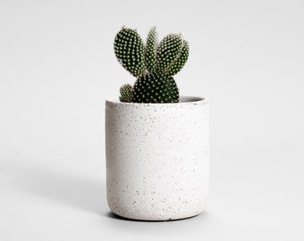 Straciatella Concrete plant pot | Medio | baby plant pot | modern concrete | housewarming gift | succulent pot | plant lover | pencil holder