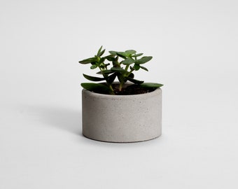 Gray Concrete plant pot | Parvi | baby plant pot | modern concrete | housewarming gift | succulent pot | plant lover | jewelry holder |