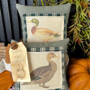 May include: Two square sage green fabric pillows featuring centered patches with duck illustrations. The top pillow shows a mallard, while the bottom pillow displays a brown duck and a tan paper tag with the text INTO THE WOODS I GO.