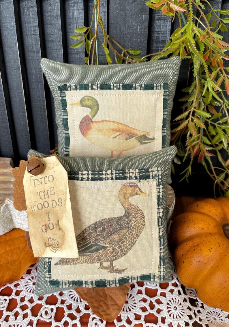 May include: Two square sage green fabric pillows featuring centered patches with duck illustrations. The top pillow shows a mallard, while the bottom pillow displays a brown duck and a tan paper tag with the text INTO THE WOODS I GO.