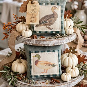 May include: Two square sage green fabric pillows featuring duck illustrations on cream-colored patches. The top pillow has a tag with the text INTO THE WOODS I GO. The pillows are displayed on a two-tiered wooden tray surrounded by white pumpkins.