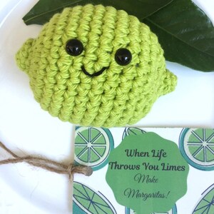 May include: A crocheted lime with a smiling face and googly eyes. The lime is sitting on a white plate with a green leaf and a card that says "When life throws you limes, make margaritas!"