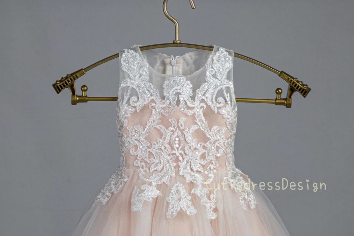 A-Line/Princess Champagne Tulle Wedding Dress, Ivory Lace main image 1