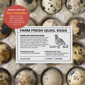 Può includere: Una scatola di uova di quaglia fresche di fattoria con una scheda di istruzioni per la cura. La scheda include le istruzioni per la manipolazione, un disegno di una quaglia e informazioni sulla durata delle uova lavate e non lavate. La scheda misura 8,89 x 5,72 cm.