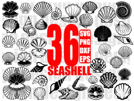 Seashell Svg Seashells Svg Seashell Clipart Seashell Svg Etsy